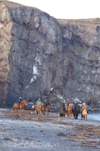 Kaldbakur Tour 2015 (7)